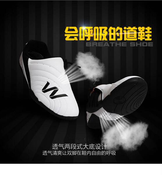 Sapatos de Treino de Taekwondo