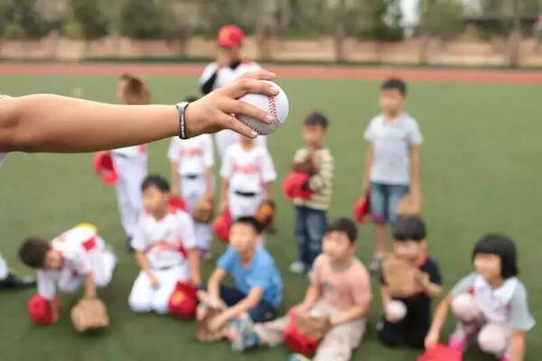 Bola de Beisebol PU