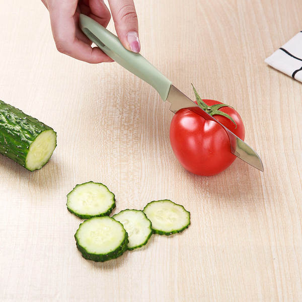 Faca de frutas inox portátil