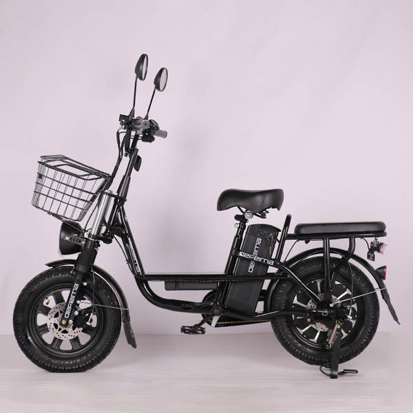 Venda de bicicletas elétricas e bicicletas elétricas de longa duração