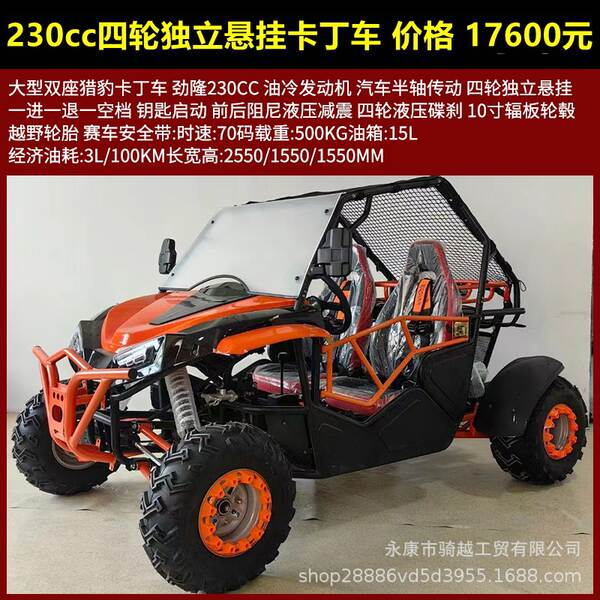 Quadriciclo UTV 125cc-230cc todo terreno adulto dois lugares versão gasolina/elétrica