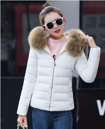 Blazer de Algodão Feminino Curto