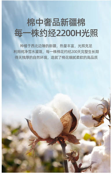Guangdong Ware 2025 Verão limpo e fresco 695#220 gramas de algodão puro de ombro curto T-shirt 14 cor