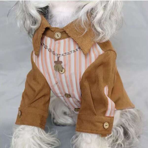 Camisa para cães e gatos