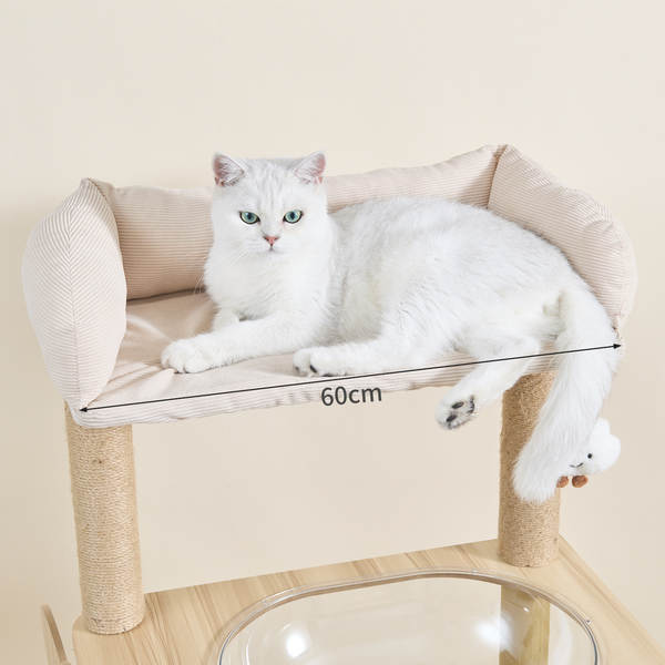 Árvore de Gatos em Madeira Grande