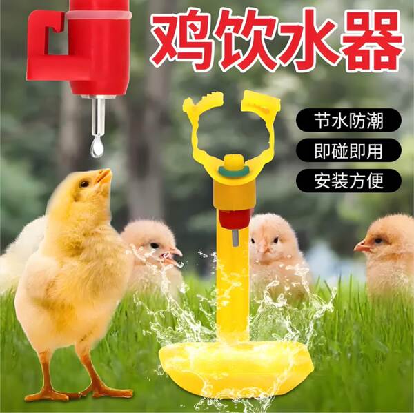 Bebedouro automático para frangos