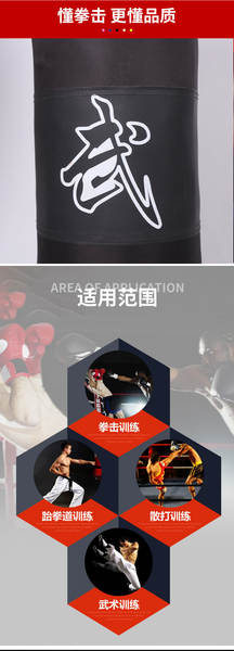 Bolsa de Treino de Boxe