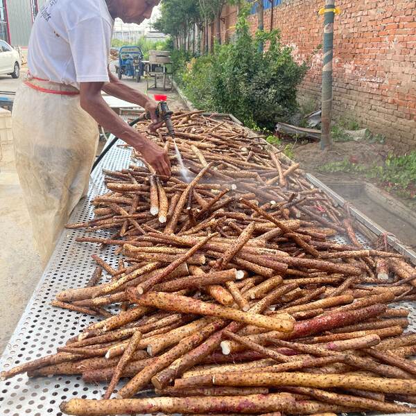Yam seca em pó sem enxofre