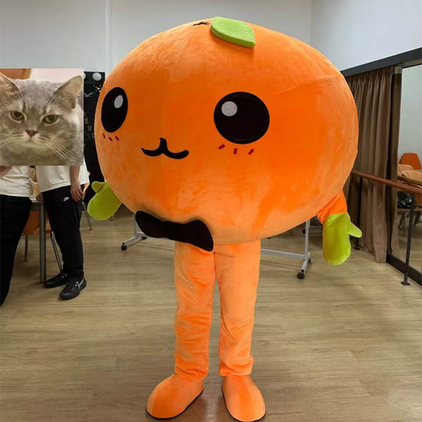 Fantasia de Personagem Animado