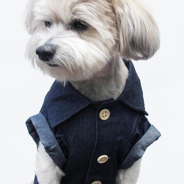 Camisa de couro para cães