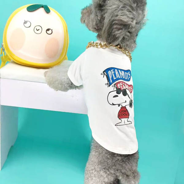 Vestido de cachorro Pequeno cachorro T-shirt de verão T-shirt Teddy Sennarick Quibago gato de algodão