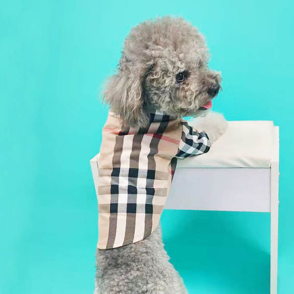 Vestido de cachorro Pequeno cachorro T-shirt de verão T-shirt Teddy Sennarick Quibago gato de algodão