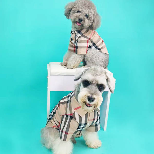 Vestido de cachorro Pequeno cachorro T-shirt de verão T-shirt Teddy Sennarick Quibago gato de algodão
