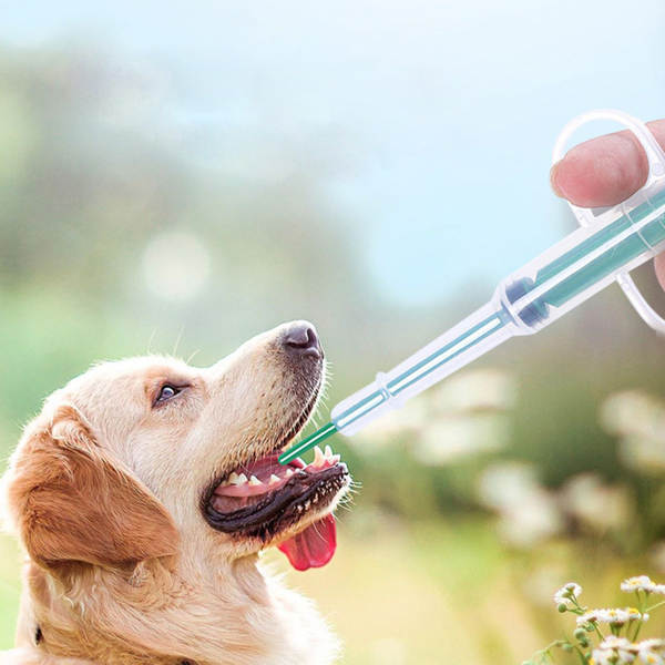 Novo alimento para animais de estimação duplo-cabeça alimento para cães e gatos alimento transfronteiriço