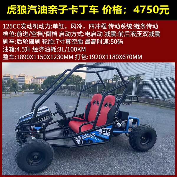 Quadriciclo UTV 125cc-230cc todo terreno adulto dois lugares versão gasolina/elétrica