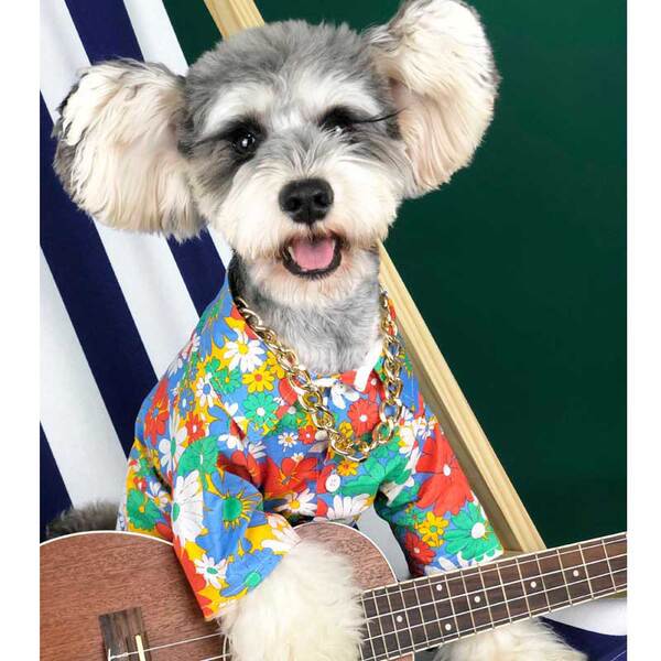 Cães roupas Cães Pequenos Cães Verão T-shirts Flores Roupa de praia Sennarico Quibago Gato Bear Pets
