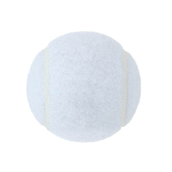 Bola de Borracha para Cães