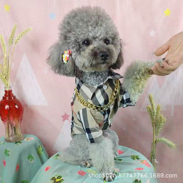 Vestido de cachorro Pequeno cachorro T-shirt de verão T-shirt Teddy Sennarick Quibago gato de algodão