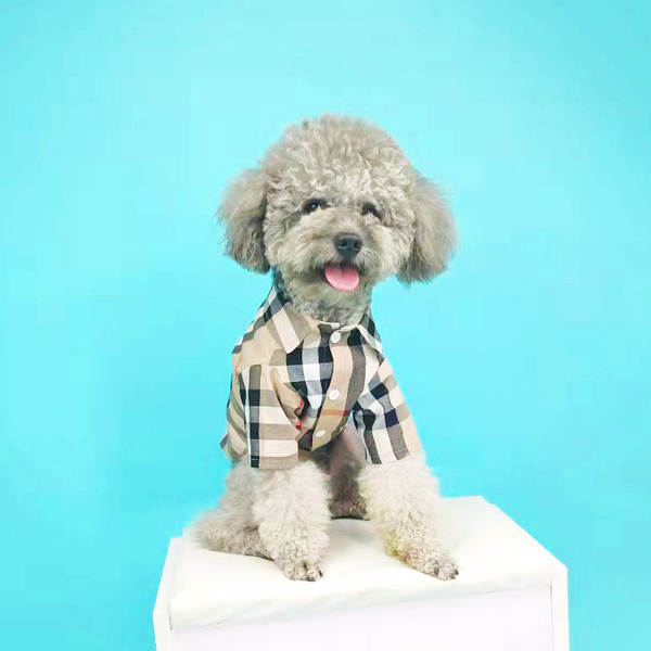Vestido de cachorro Pequeno cachorro T-shirt de verão T-shirt Teddy Sennarick Qu