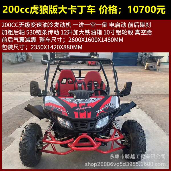 Quadriciclo UTV 125cc-230cc todo terreno adulto dois lugares versão gasolina/elétrica