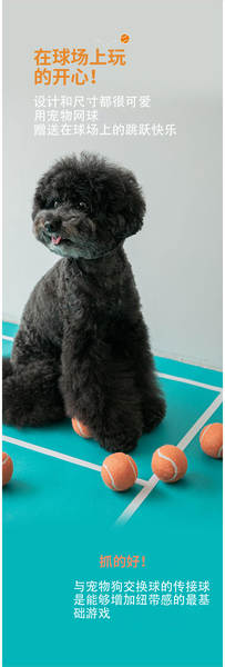 Bola de Borracha para Cães
