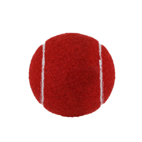 Bola de Borracha para Cães