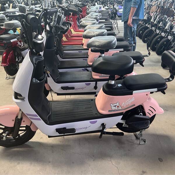 Novo veículo elétrico para adultos com duas rodas