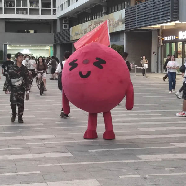 Fantasia de Personagem Animado