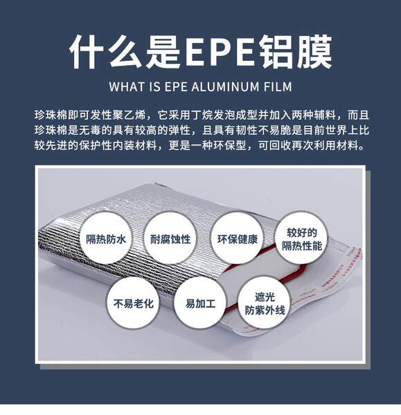 Saco de refrigeração de alumínio personalizado de uma só vez para alimentos frescos barbecue frutas frescas embalagem saco de refrigeração isolante