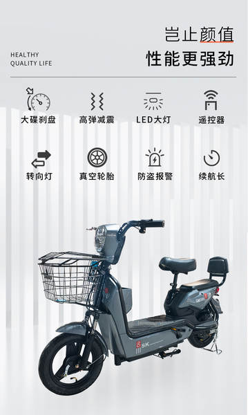 Bicicleta Elétrica Adulto