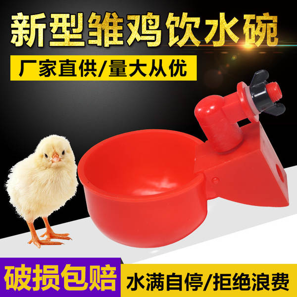 Bebedouro Automático para Aves