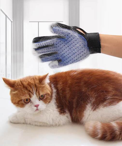 Luva de Escova para Cachorro e Gato
