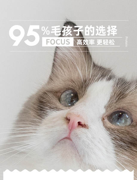 Medicador para Pets